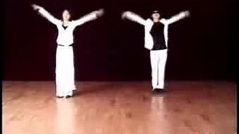 我的梦舞蹈教学视频,跟随教学视频解锁舞蹈魅力之旅