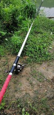 矶杆视频