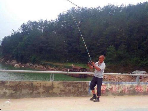 桥上钓鱼视频,悠然自得，捕捉生活美好瞬间