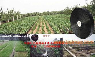 喷灌带视频,视频深度解读