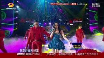 张冬玲演唱会视频