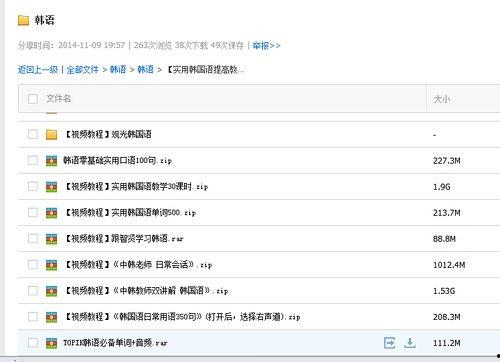 韩语初级视频,跟随视频轻松掌握基础语法与发音