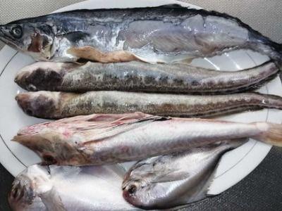 海鱼的做法视频,跟随视频学做美味佳肴