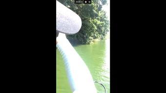 船钓黑鱼视频,畅游水面的激情捕捞之旅