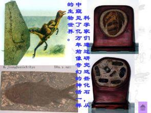 化石吟视频,化石吟视频深度解读