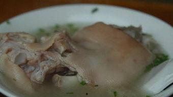 芙蓉鸟繁殖视频