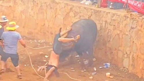 人牛大战视频,人牛大战视频背后的惊心动魄