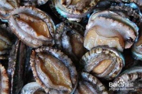 鲍鱼线视频,揭秘海洋珍馐背后的传奇故事